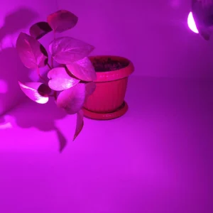 لامپ LED رشد گیاه فول اسپکتروم طرح لنز مشجر گرد 1.5 وات