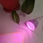 خرید اینترنتی لامپ ال ای دی هالوژن رشد گیاه مدل 5 وات فول اسپکتروم 220V فروشگاه تجهیزات روشنایی لایت ایران