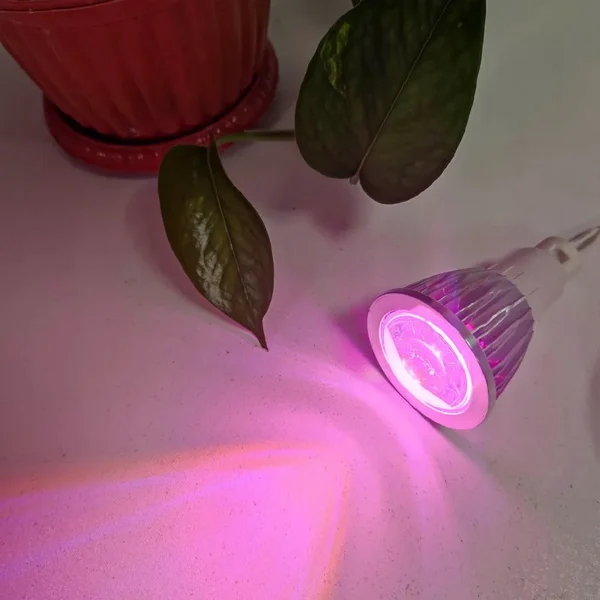 خرید اینترنتی لامپ ال ای دی هالوژن رشد گیاه مدل 5 وات فول اسپکتروم 220V فروشگاه تجهیزات روشنایی لایت ایران